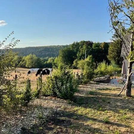 Le Gite De La Champagne Olloy-sur-Viroin Exterior foto