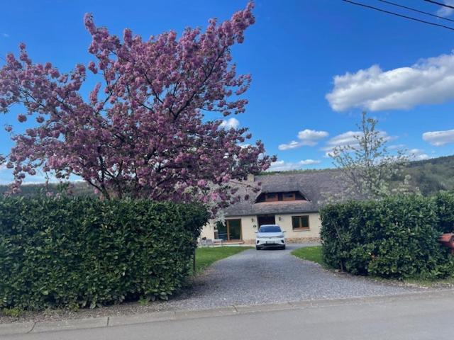 Le De La Champagne Ferienhaus Olloy-sur-Viroin